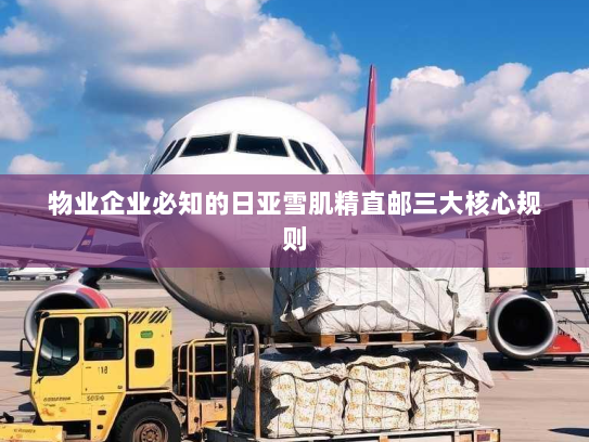 物业企业必知的日亚雪肌精直邮三大核心规则