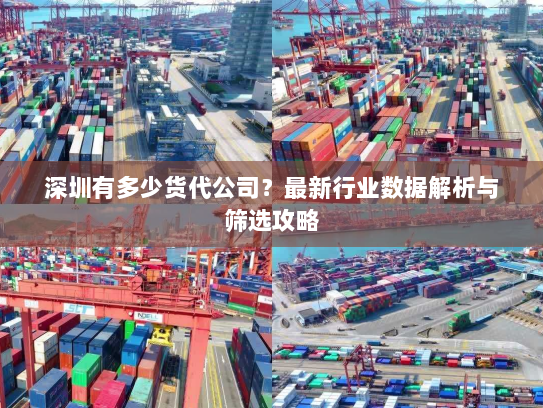 深圳有多少货代公司？最新行业数据解析与筛选攻略
