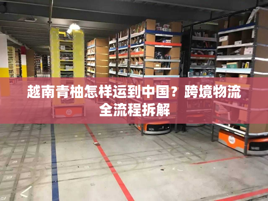 越南青柚怎样运到中国？跨境物流全流程拆解
