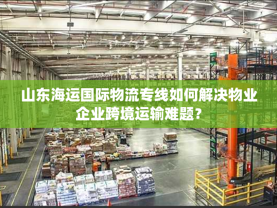 山东海运国际物流专线如何解决物业企业跨境运输难题？