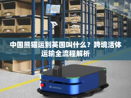 中国熊猫运到英国叫什么？跨境活体运输全流程解析