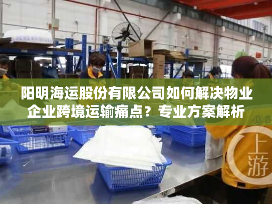 阳明海运股份有限公司如何解决物业企业跨境运输痛点?专业方案解析 阳明海运股份有限公司如何解决物业企业跨境运输痛点?专业方案解析
