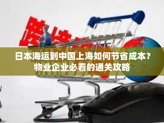 日本海运到中国上海如何节省成本？物业企业必看的通关攻略
