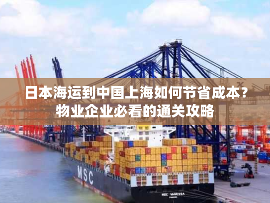 日本海运到中国上海如何节省成本？物业企业必看的通关攻略