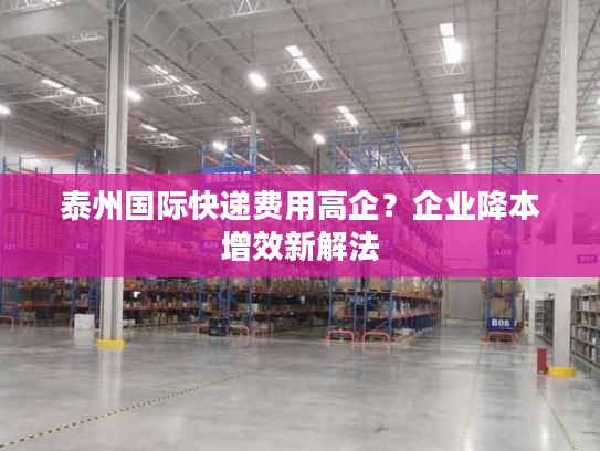 泰州国际快递费用高企？企业降本增效新解法