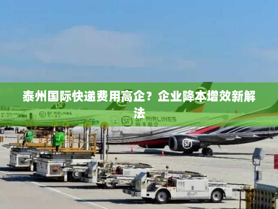 泰州国际快递费用高企？企业降本增效新解法