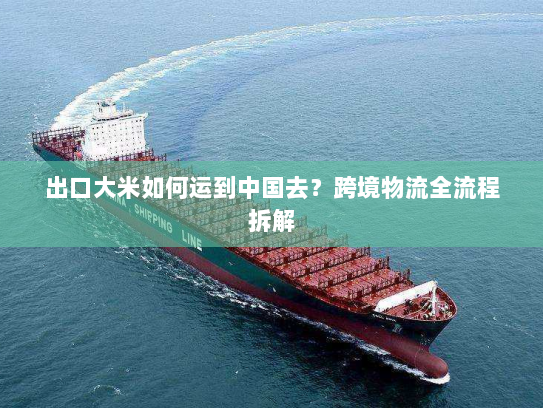 出口大米如何运到中国去？跨境物流全流程拆解