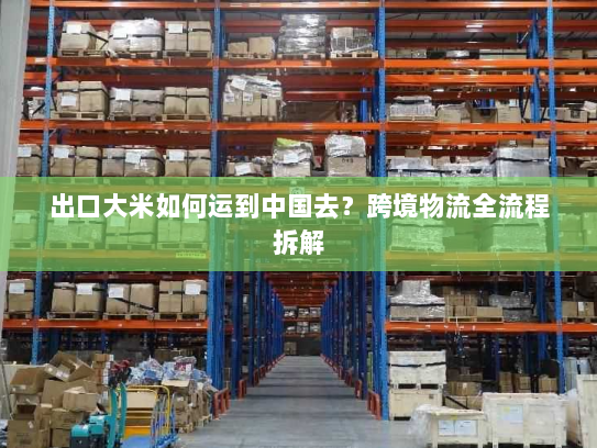 出口大米如何运到中国去？跨境物流全流程拆解
