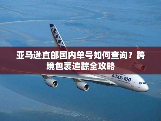 亚马逊直邮国内单号如何查询？跨境包裹追踪全攻略