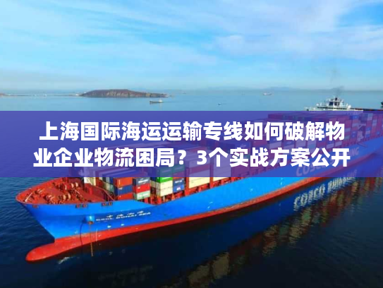 上海国际海运运输专线如何破解物业企业物流困局？3个实战方案公开