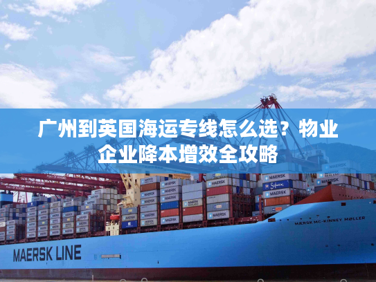 广州到英国海运专线怎么选？物业企业降本增效全攻略