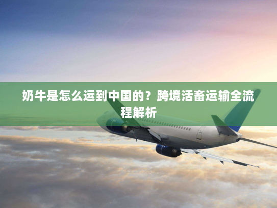 奶牛是怎么运到中国的?跨境活畜运输全流程解析 奶牛是怎么运到中国的?跨境活畜运输全流程解析