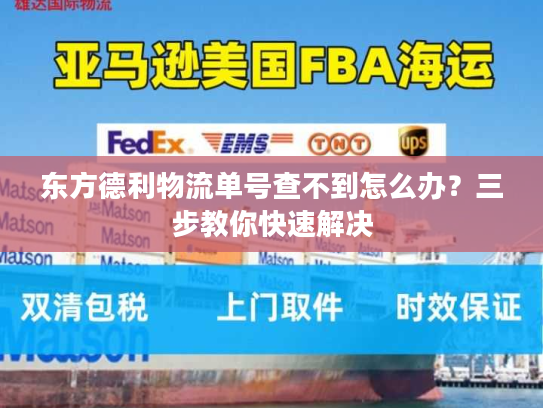 东方德利物流单号查不到怎么办?三步教你快速解决 东方德利物流单号查不到怎么办?三步教你快速解决