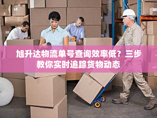 旭升达物流单号查询效率低？三步教你实时追踪货物动态