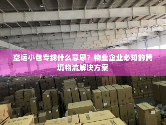 空运小包专线什么意思？物业企业必知的跨境物流解决方案