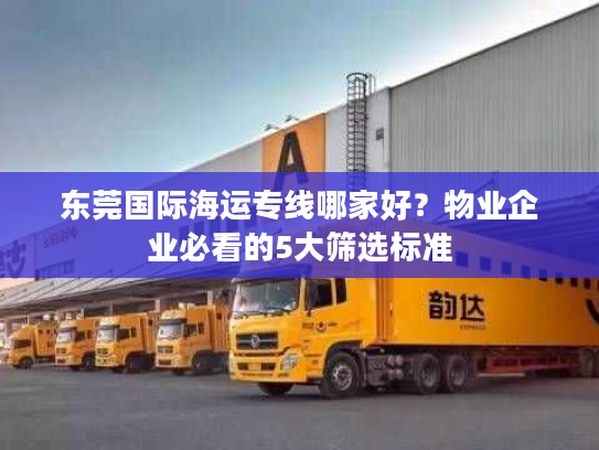 东莞国际海运专线哪家好？物业企业必看的5大筛选标准
