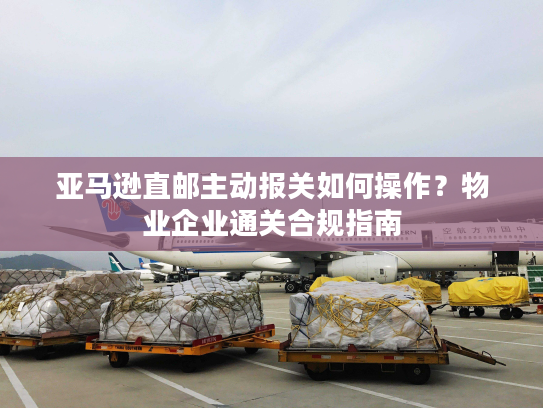亚马逊直邮主动报关如何操作？物业企业通关合规指南