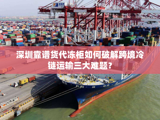 深圳靠谱货代冻柜如何破解跨境冷链运输三大难题？