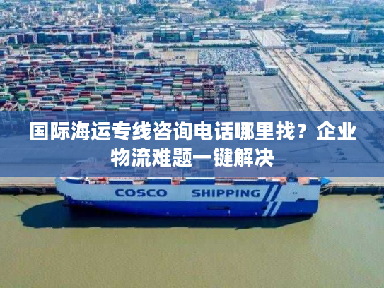 国际海运专线咨询电话哪里找？企业物流难题一键解决