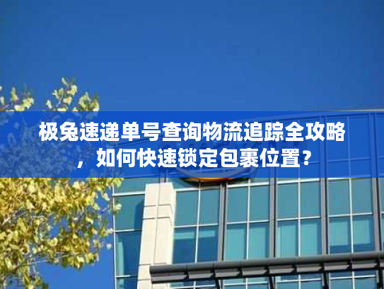 极兔速递单号查询物流追踪全攻略，如何快速锁定包裹位置？