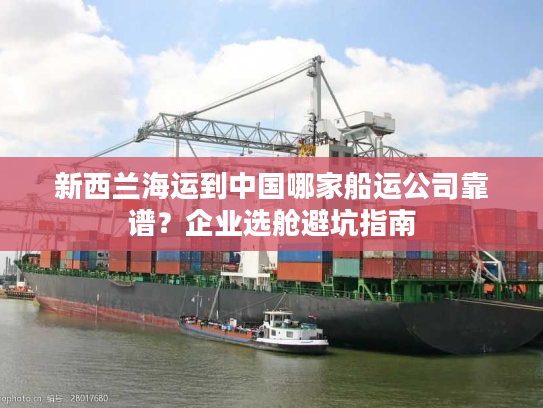 新西兰海运到中国哪家船运公司靠谱？企业选舱避坑指南