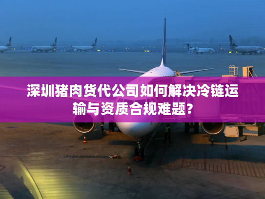 深圳猪肉货代公司如何解决冷链运输与资质合规难题？
