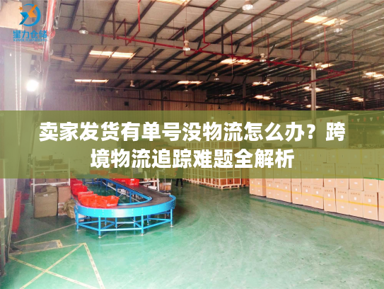 卖家发货有单号没物流怎么办？跨境物流追踪难题全解析