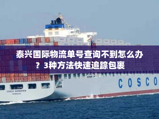 泰兴国际物流单号查询不到怎么办？3种方法快速追踪包裹