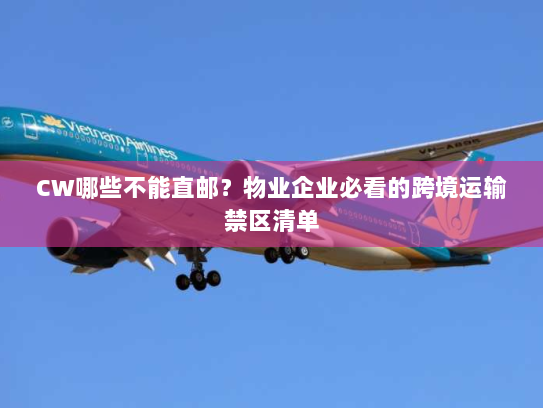 CW哪些不能直邮？物业企业必看的跨境运输禁区清单