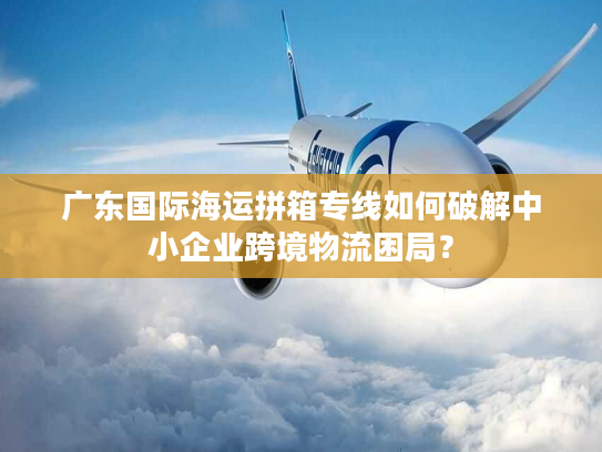 广东国际海运拼箱专线如何破解中小企业跨境物流困局？
