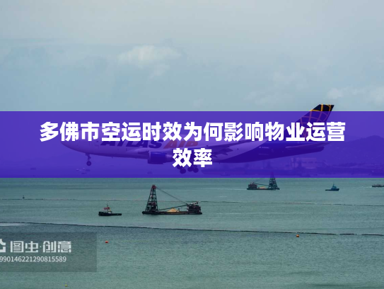 多佛市空运时效为何影响物业运营效率