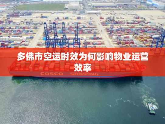 多佛市空运时效为何影响物业运营效率