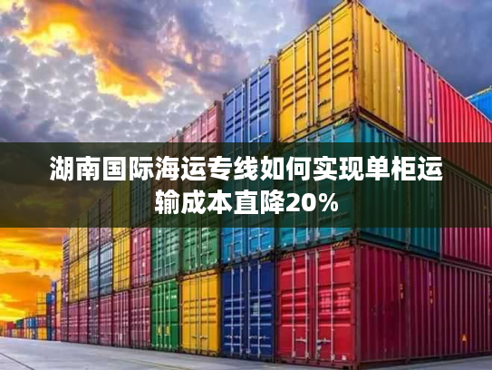 湖南国际海运专线如何实现单柜运输成本直降20%