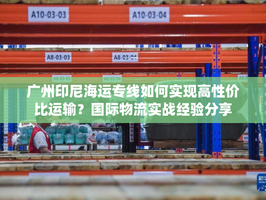 广州印尼海运专线如何实现高性价比运输？国际物流实战经验分享