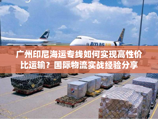 广州印尼海运专线如何实现高性价比运输？国际物流实战经验分享