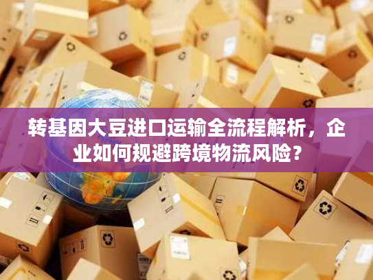 转基因大豆进口运输全流程解析，企业如何规避跨境物流风险？