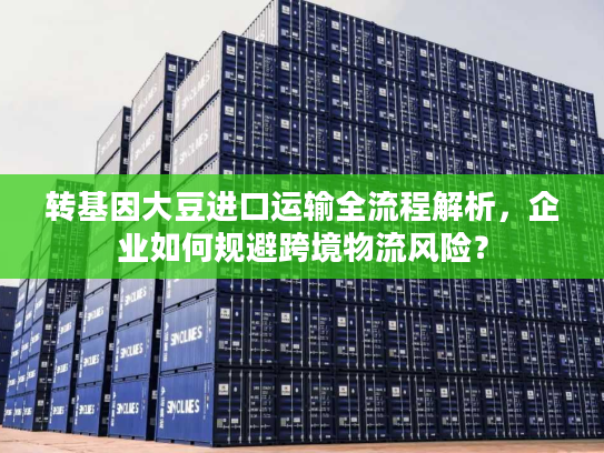 转基因大豆进口运输全流程解析，企业如何规避跨境物流风险？