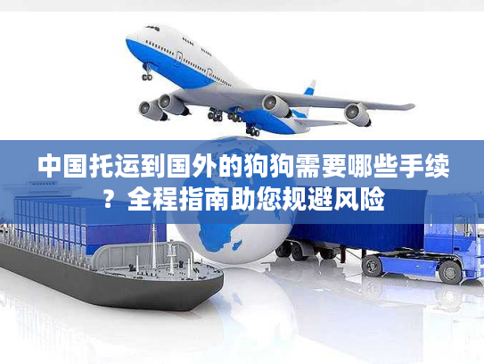 中国托运到国外的狗狗需要哪些手续？全程指南助您规避风险