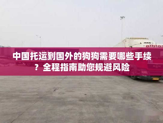 中国托运到国外的狗狗需要哪些手续？全程指南助您规避风险