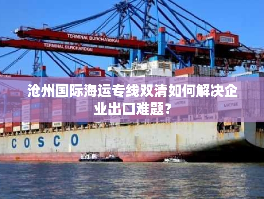 沧州国际海运专线双清如何解决企业出口难题？