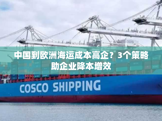 中国到欧洲海运成本高企？3个策略助企业降本增效
