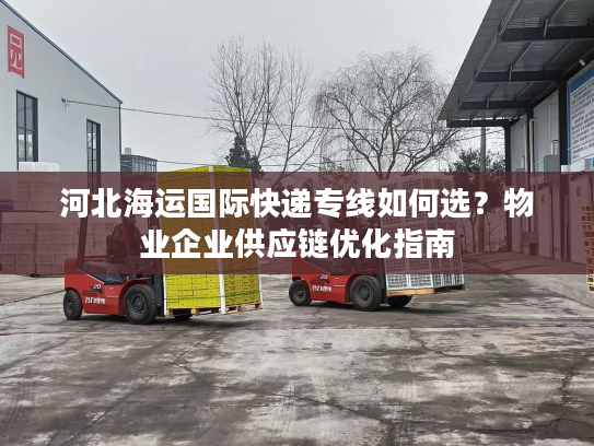 河北海运国际快递专线如何选？物业企业供应链优化指南