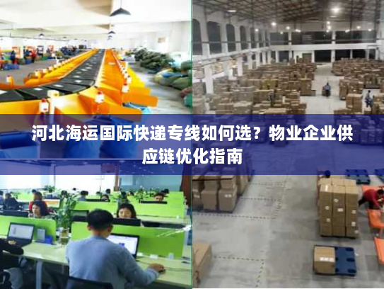 河北海运国际快递专线如何选？物业企业供应链优化指南