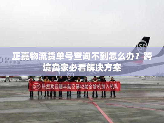 正嘉物流货单号查询不到怎么办?跨境卖家必看解决方案 正嘉物流货单号查询不到怎么办?跨境卖家必看解决方案