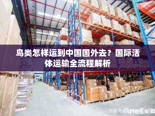 鸟类怎样运到中国国外去？国际活体运输全流程解析