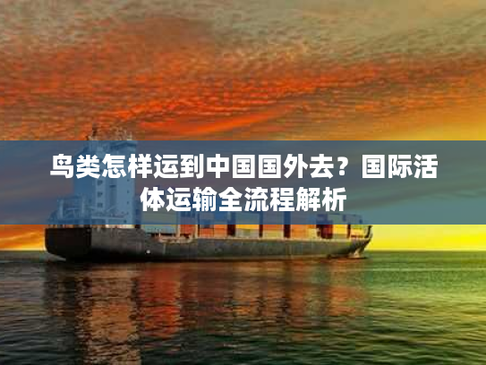 鸟类怎样运到中国国外去？国际活体运输全流程解析