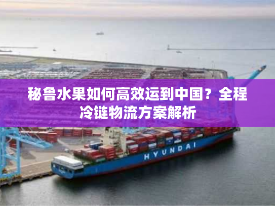 秘鲁水果如何高效运到中国？全程冷链物流方案解析