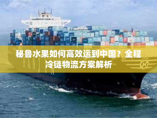 秘鲁水果如何高效运到中国？全程冷链物流方案解析