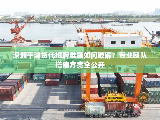 深圳平湖货代招聘难题如何破解？专业团队搭建方案全公开
