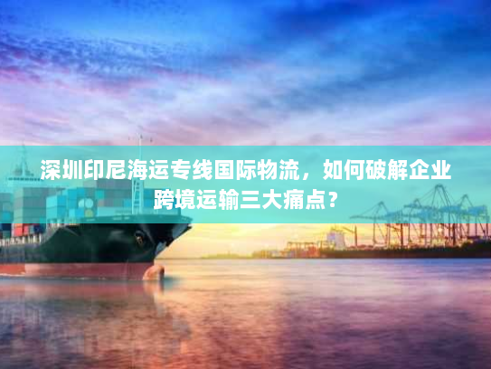 深圳印尼海运专线国际物流，如何破解企业跨境运输三大痛点？